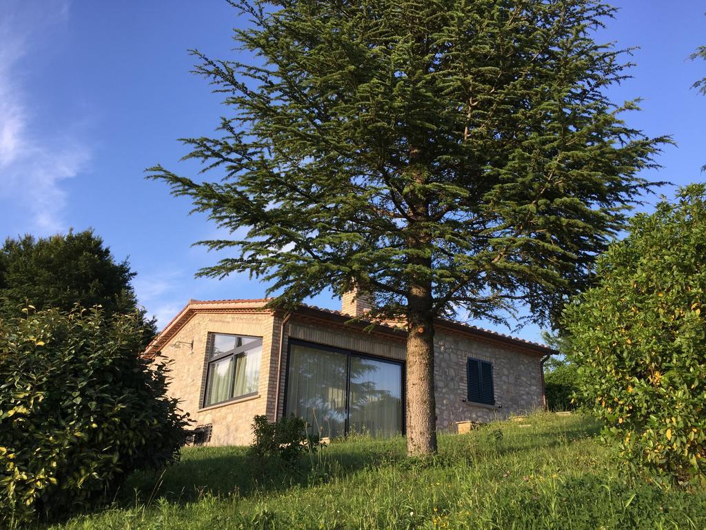 Вілла Agricola Caicucci Монтоне Номер фото